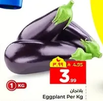 Eggplant Per Kg