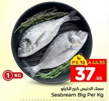 Seabream Big Per Kg