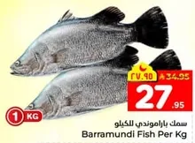 Barramundi Fish Per Kg