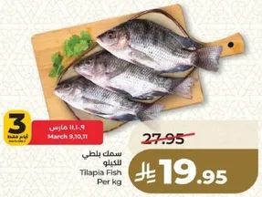 Tilapia Fish