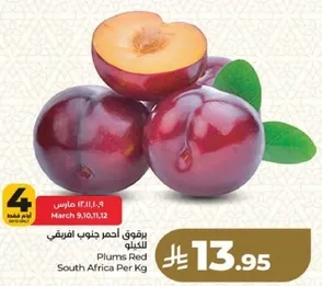 برقوق احمر جنوب افريقيا