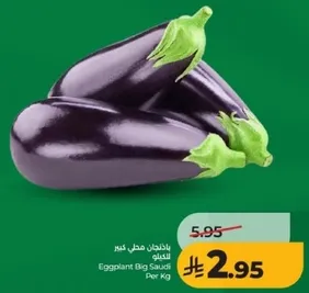 Big Saudi Eggplant