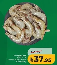 Farmed Prawns Defrosted 50/60 Per kg