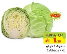 Cabbage / Kg