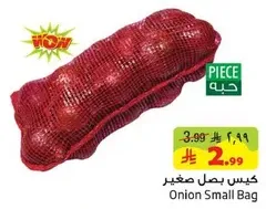 Onion Small Bag
