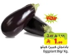 Eggplant Big / Kg.