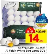 Al Falah White Egg Large 30's