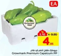 جرو مارك فلفل اخضر بارد فاخره