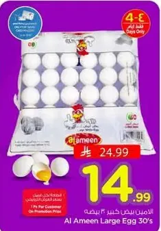 Al Ameen Large Egg 30's