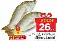 سمك شعري محلي