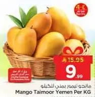 Mango Taimoor Yemen Per KG