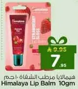 Himalaya Lip Balm 10gm