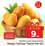 Mango Taimoor Yemen Per KG