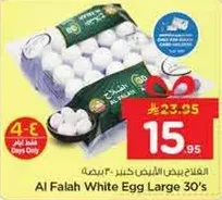 Al Falah White Egg Large 30's