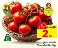 Tomato Per Kg