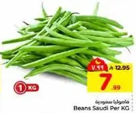 Saudi Beans per KG