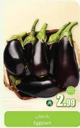 Eggplant
