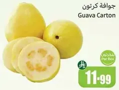 جوافه كرتون