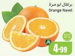 Navel Orange