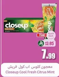 Closeup Cool Fresh Citrus Mint