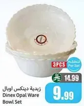 Dinex Opal Ware Bowl Set