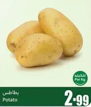 بطاطس