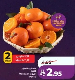 Mandarin Egypt Per Kg