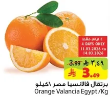 برتقال فالنسيا مصر كيلو