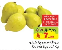 جوافه مصري / كيلو