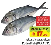 سمك خضره (بارا) متوفر لفتره محدوده.