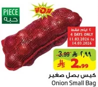 Onion Small Bag