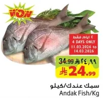سمك عندك/كيلو