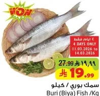 سمك بوري / كيلو