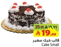 كيك صغير بالشوكولاته والكريمه.