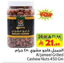 Al Jameel Grilled Cashew Nuts 450 gm