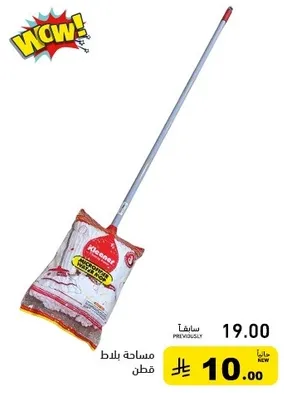 Mop with handle