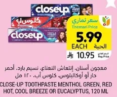 CLOSE-UP TOOTHPASTE MENTHOL GREEN, RED HOT, COOL BREEZE OR EUCALYPTUS, 120 ML