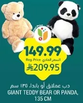 دب عملاق او باندا، 135 سم.