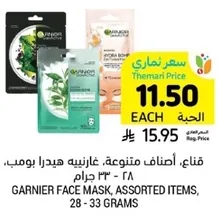 Garnier Face Mask, assorted items, 28 - 33 grams.