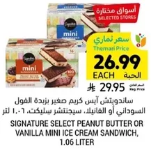 ساندويتش ايس كريم صغير بزبده الفول السوداني او الفانيليا، سعه 1.06 لتر