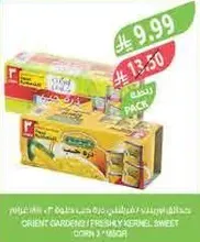 Orient Gardens Freshly Kernel Sweet Corn 3 Pack