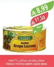 ورق عنب محشي طازج.