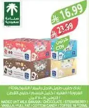 A variety pack of flavored yogurt including vanilla, chocolate, and strawberry.