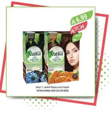 صندوق صبغه شعر حناء فاتيكا 60 جرام