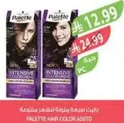 صبغه شعر باليت.