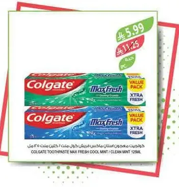 Colgate Toothpaste Max Fresh Cool Mint / Clean Mint 125ml