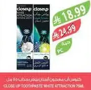 Close Up Toothpaste White Attraction 75ml