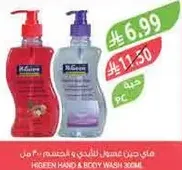 Hgreen hand and body wash 300ml.