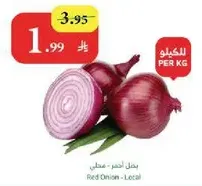 بصل احمر - محلي