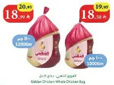 دجاج الذهبي دجاج كامل